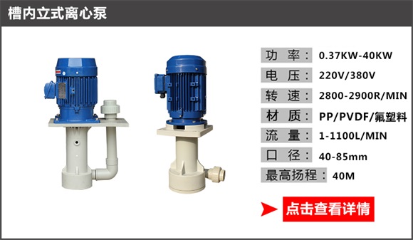 槽內立式離心泵